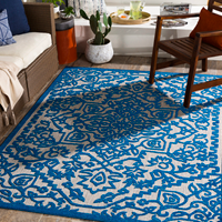 Shop Rugs