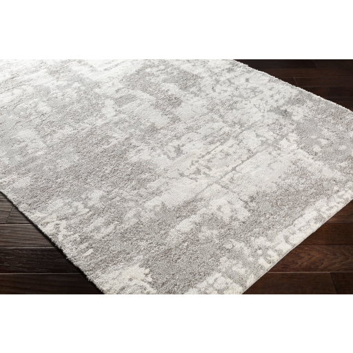 Picture of TREVISO B 9X12.3 RUG
